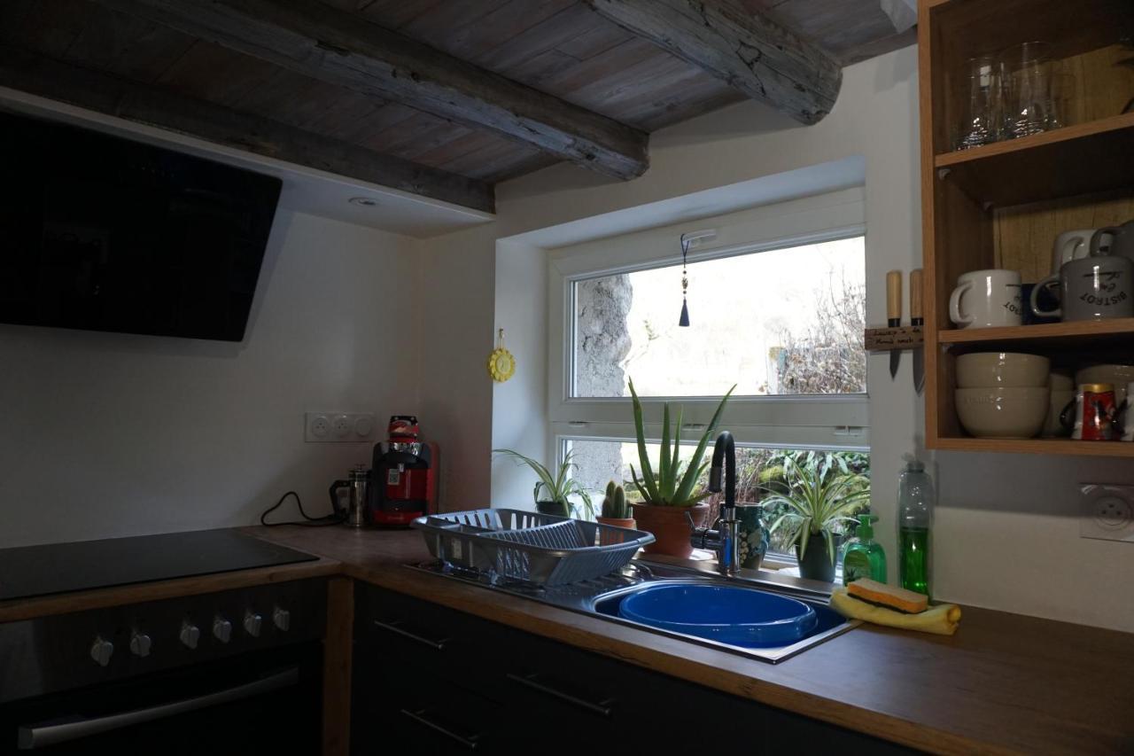 Castelnau-Durban Les Hibouxヴィラ エクステリア 写真